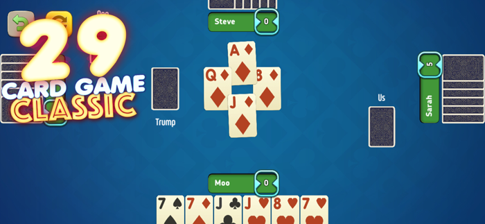29 Card Game Classic