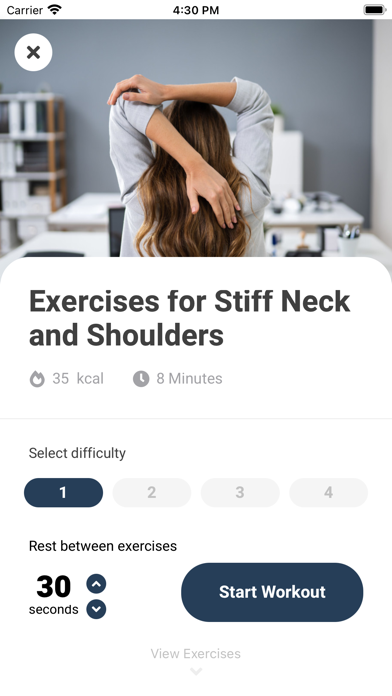 Exercise at Your Desk Screenshot