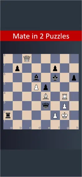 Game screenshot Checkmate puzzles - King Hunt apk
