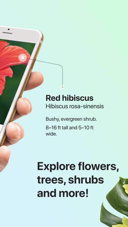 Picturethis Plant Identifier By Glority Global Group Ltd