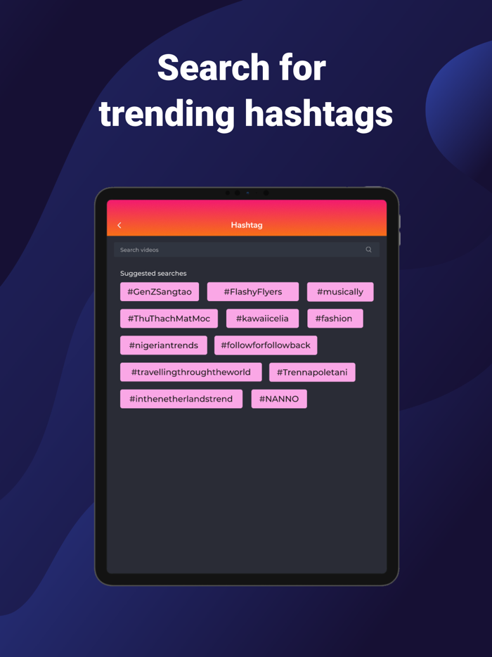 SaveTiks Video Manager
