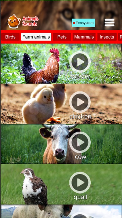 Animals Sounds Pro Screenshot