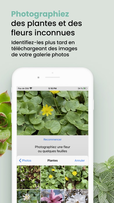 Screenshot #3 pour Plant ID Match - Reconnaitre