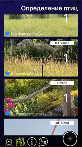 Game screenshot Bird Photo ID: птицы на фото mod apk