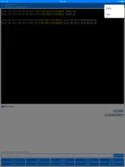 udp terminal айпад изображения 4