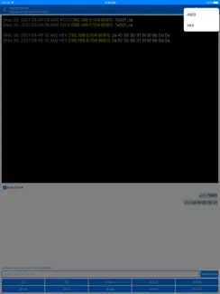 UDP Terminal iPad image 4