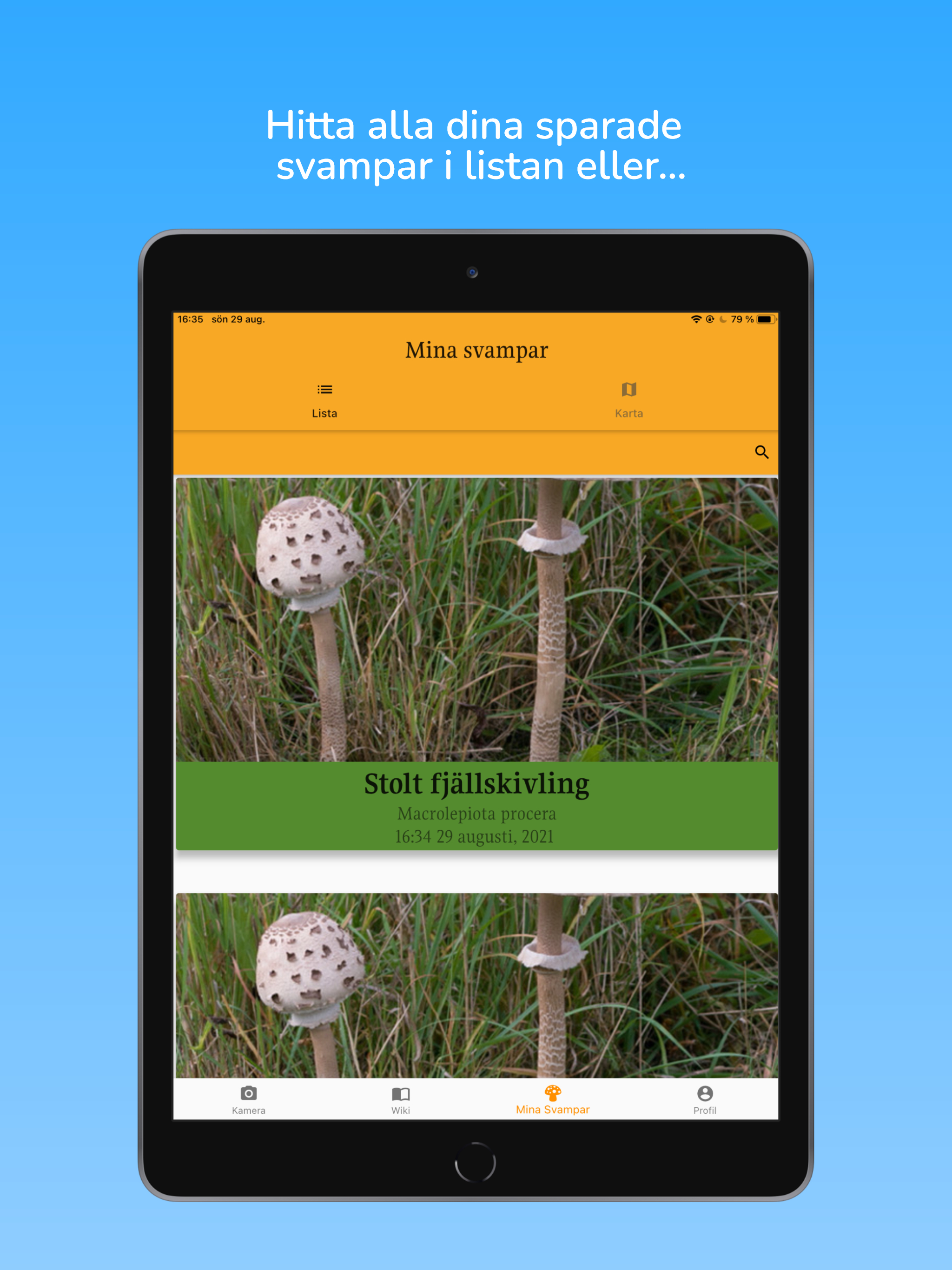 fungai - svampguide med AI