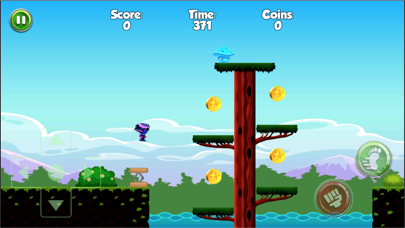 Super Ninja Run Game Screenshot