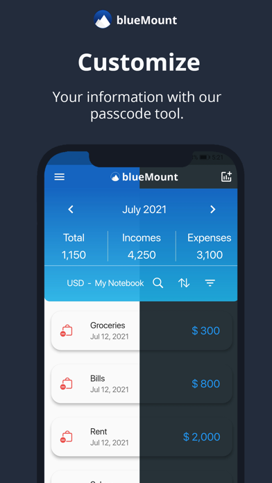 BlueMount - Money manager Screenshot