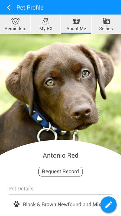 All Creatures Pet App