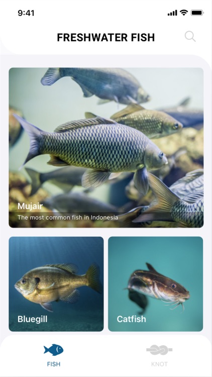 FisherPal - Learn Knot