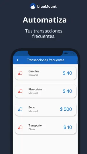 Captura de pantalla de BlueMount - Gastos Diarios en iPhone 4