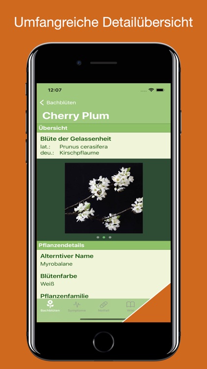 Bachblüten Lexikon screenshot-3