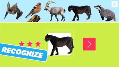 Animal Sounds, Photos and Info Screenshot