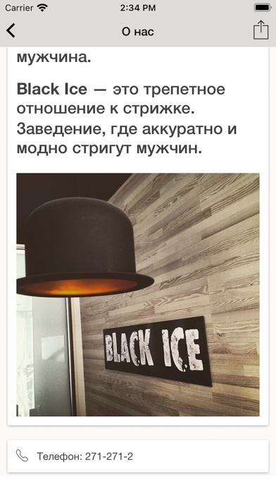 Black Ice screenshot 4