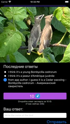 Game screenshot Bird Photo ID: птицы на фото apk