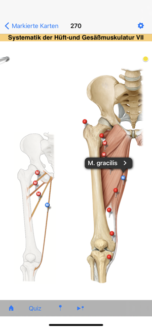 PROMETHEUS - LernKarten Screenshot