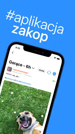 Game screenshot Zakop - Wykop.pl browser mod apk