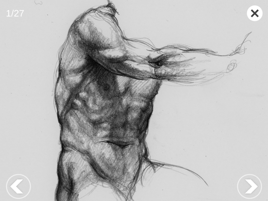Screenshot #6 pour Anatomie 3D pour l'Artiste