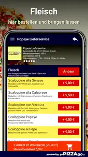 popeye winsen (luhe) problems & solutions and troubleshooting guide - 3