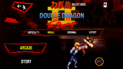 Double Dragon Trilogy screenshot 2