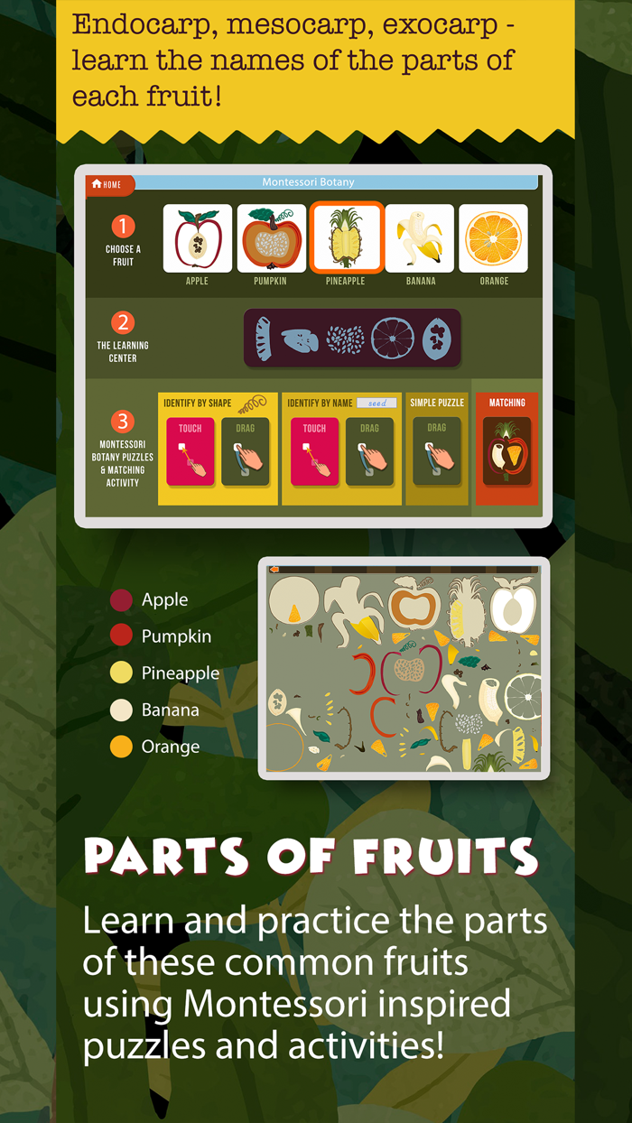 Montessori Science - School Ed