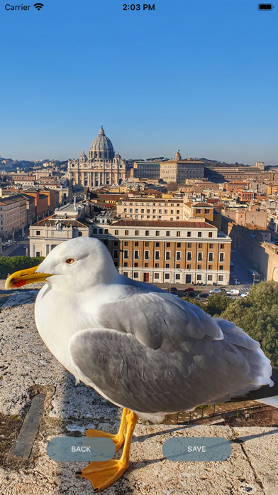 Italy Wallpapers Screenshot