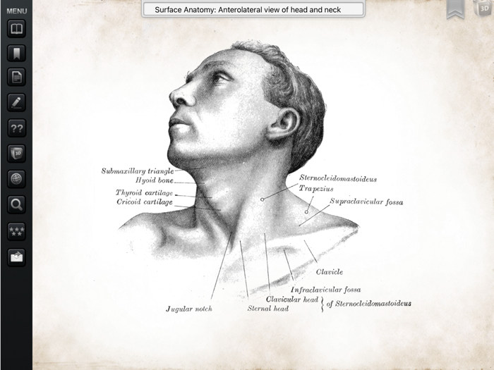 Grays Anatomy Premium for iPad