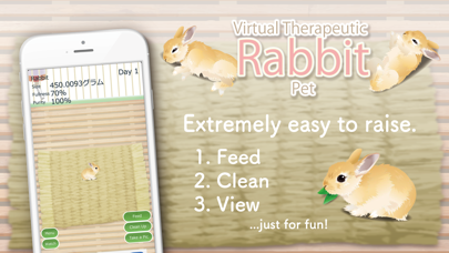 Virtual Therapeutic Rabbit Pet Screenshot