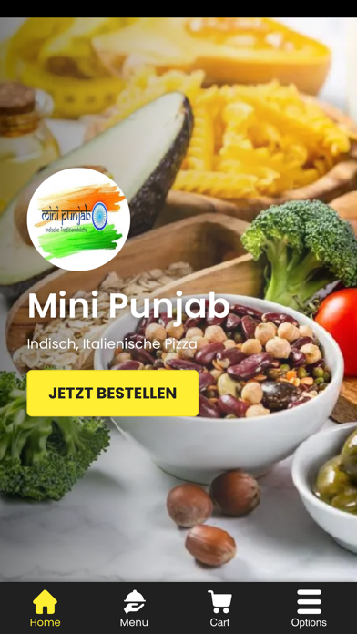 Mini Punjab Screenshot