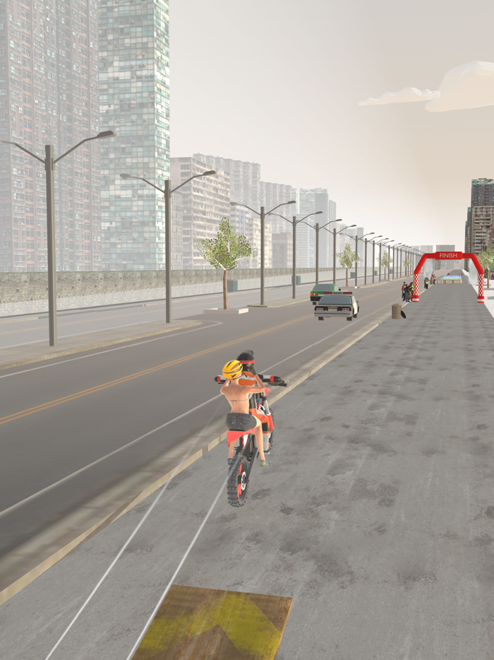 Bike Flip The Desert Action