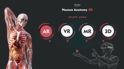 Irusu Human Anatomy Screenshot