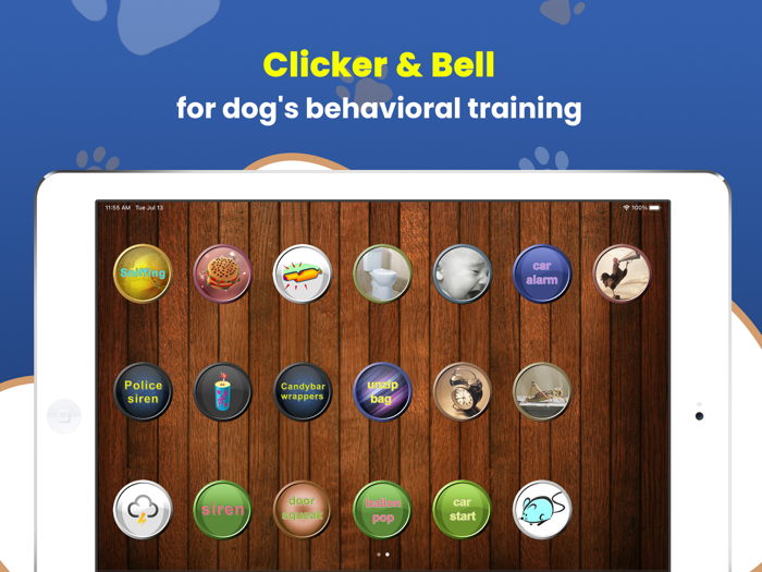 Dog Teaser Sound Box