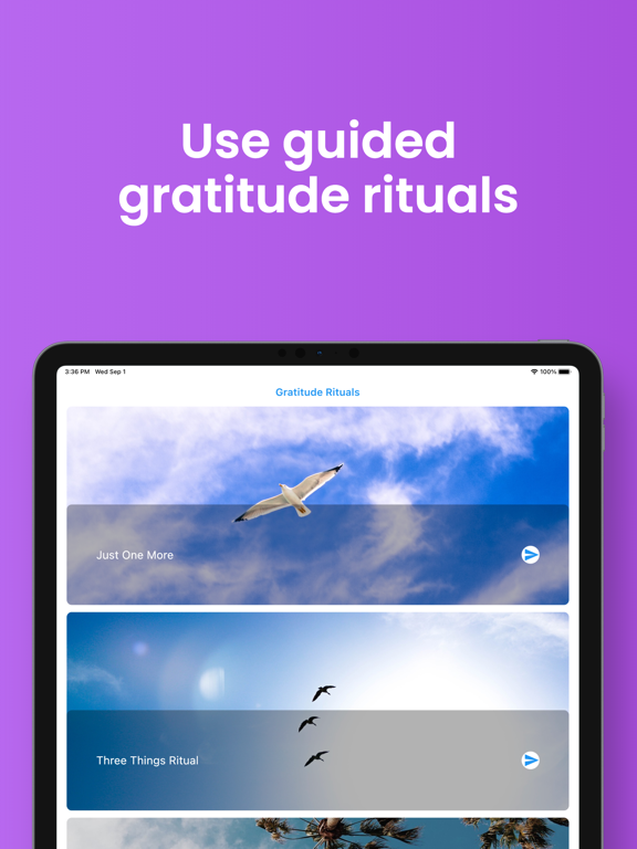 Screenshot #5 pour Earnest Gratitude Journal