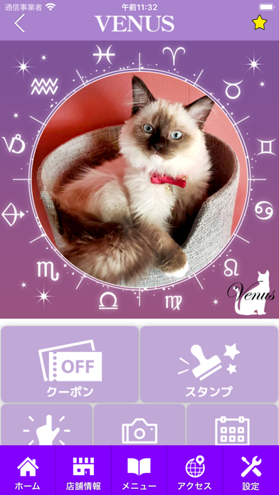 猫＆占いカフェVENUS（ビーナス） 公式アプリ screenshot 2