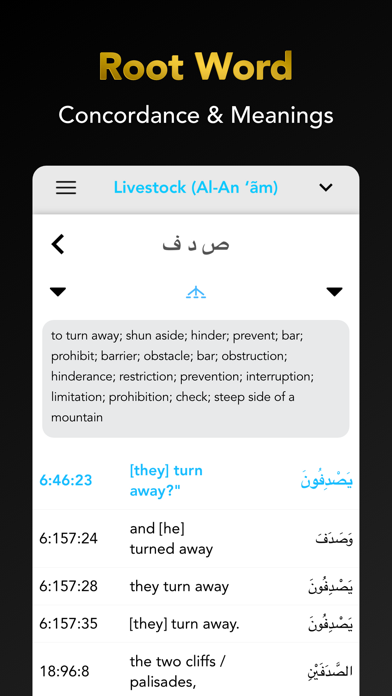 Quran Study Learn Word by Word Screenshot
