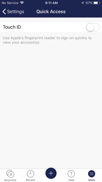 FNB Picayune Bank Screenshot