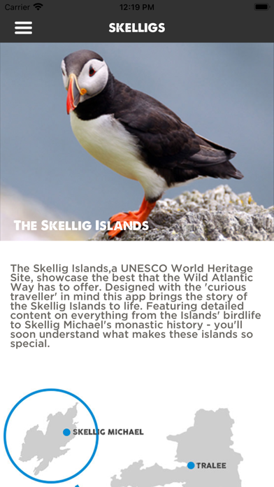 Skellig Screenshot