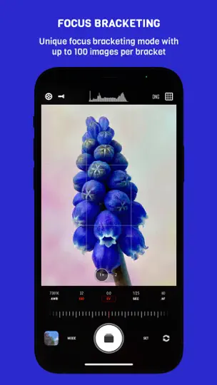 CameraPixels Lite iPhone Ekran Görüntüsü 8