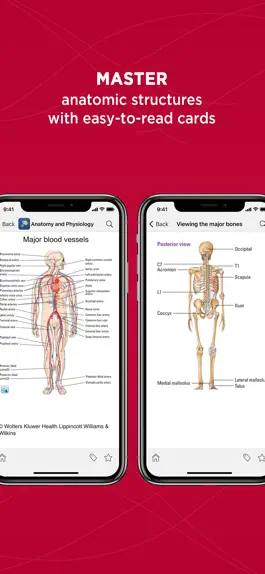 Game screenshot Anatomy & Physiology Made Easy hack