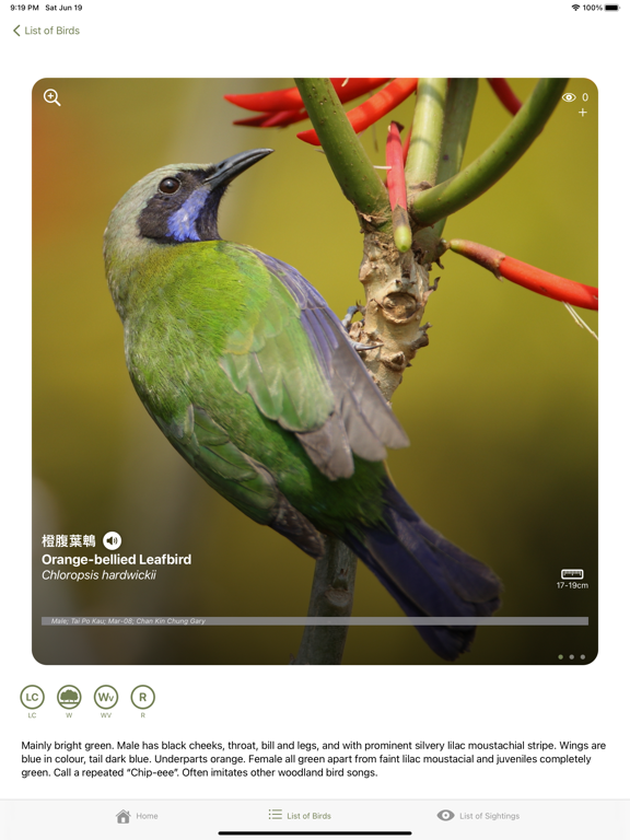 HKBirds: Birds of Hong Kongのおすすめ画像3