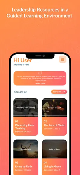 Game screenshot Rohi apk