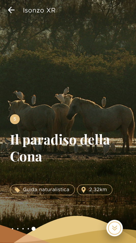 #7. Isonzo XR (iOS) Bởi: Ikon s.r.l.