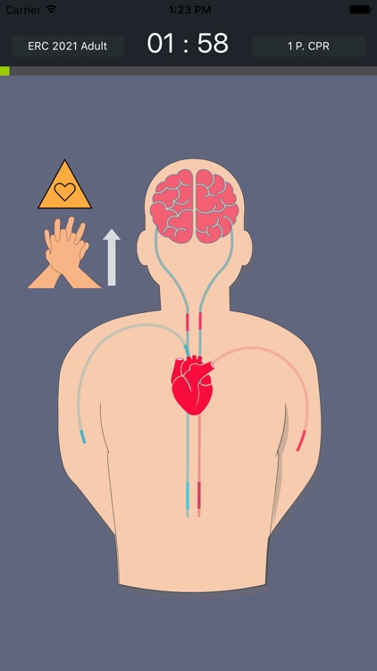 Ambu® iQF Trainee screenshot-6