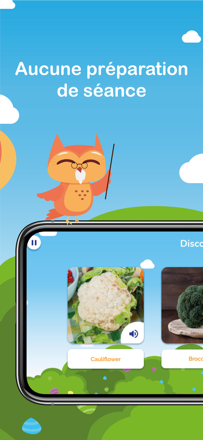 Holy Owly for school