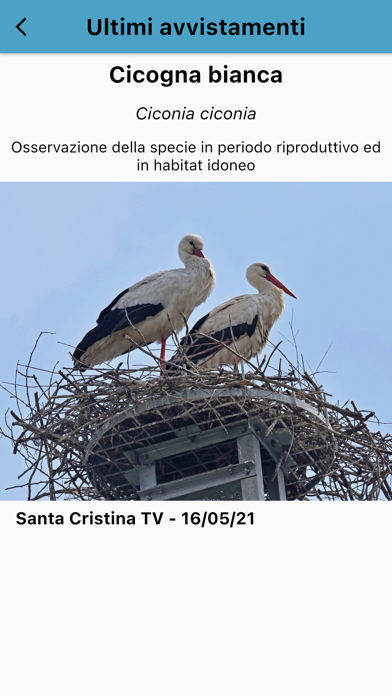 Ubird di EBN Italia Screenshot
