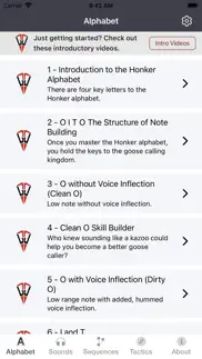 goose tech problems & solutions and troubleshooting guide - 3