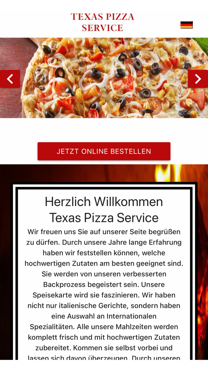 Texas Pizza Service