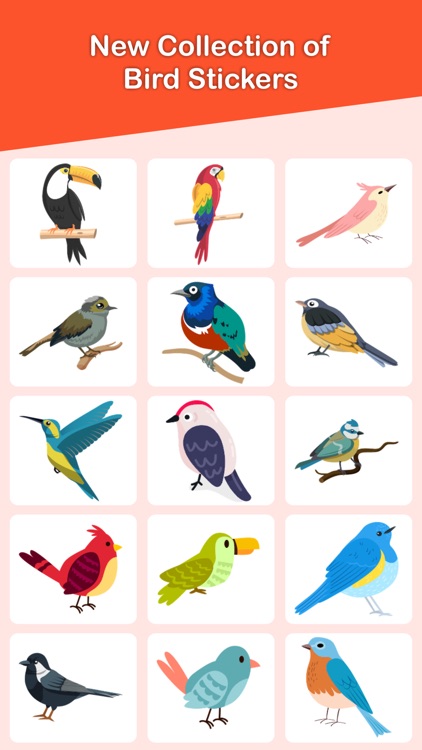 Bird Stickers!
