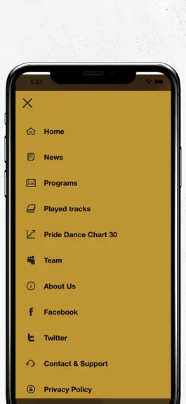 Game screenshot Pidi, The number 1 PRIDE Radio hack